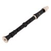 Aulos 205A Robin Descant Recorder 2 Image for Aulos 205A Robin Descant Recorder