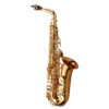 Yanagisawa AW02 Alto Saxophone Bronze 2 YANAGISAWA-AWO2