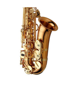 Alternative view of Yanagisawa AW02 Alto Saxophone Bronze