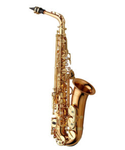 YANAGISAWA-AWO2