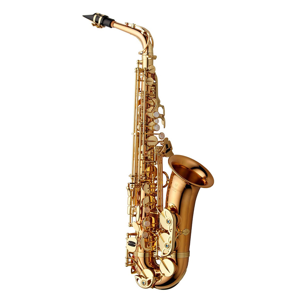 Yanagisawa AW02 Alto Saxophone Bronze 2 YANAGISAWA-AWO2