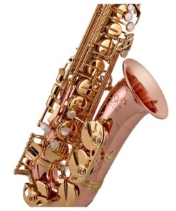 Trevor James SR Alto Saxophone Outfit Bronze with Gold Lacquer Keys 19 Trevor James SR Alto Saxophone Outfit Bronze with Gold Lacquer Keys - Image 9