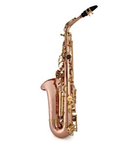 Trevor James SR Alto Saxophone Outfit Bronze with Gold Lacquer Keys 18 Trevor James SR Alto Saxophone Outfit Bronze with Gold Lacquer Keys - Image 8
