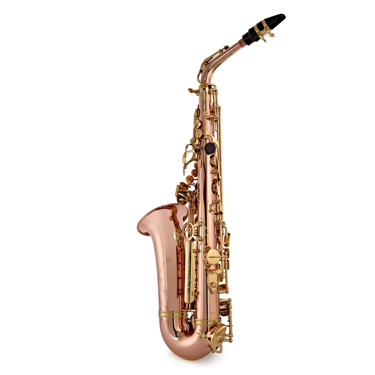 Trevor James SR Alto Saxophone Outfit Bronze with Gold Lacquer Keys 10 Trevor James SR Alto Saxophone Outfit Bronze with Gold Lacquer Keys - Image 8