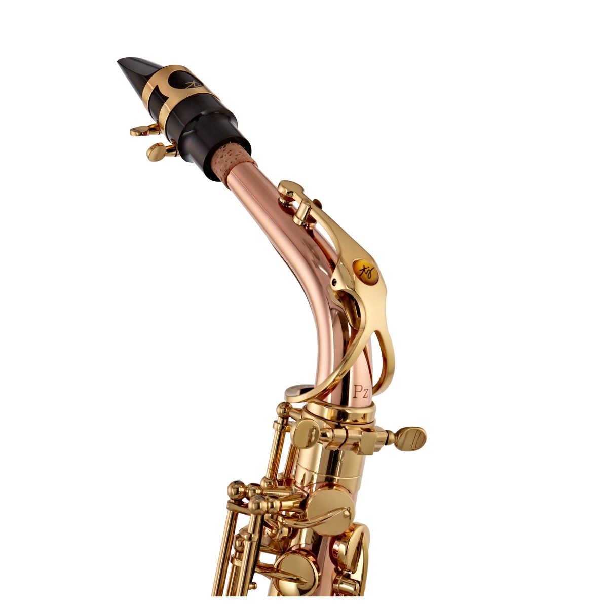 Trevor James SR Alto Saxophone Outfit Bronze with Gold Lacquer Keys 9 Trevor James SR Alto Saxophone Outfit Bronze with Gold Lacquer Keys - Image 7