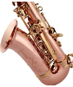 Trevor James SR Alto Saxophone Outfit Bronze with Gold Lacquer Keys 16 Trevor James SR Alto Saxophone Outfit Bronze with Gold Lacquer Keys - Image 6
