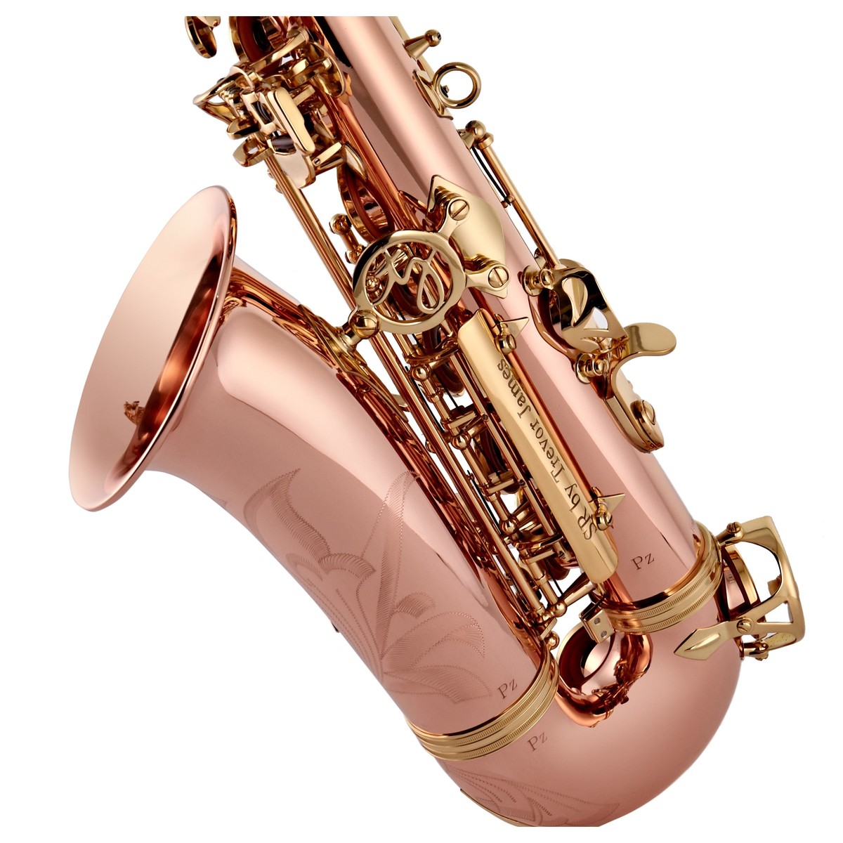 Trevor James SR Alto Saxophone Outfit Bronze with Gold Lacquer Keys 8 Trevor James SR Alto Saxophone Outfit Bronze with Gold Lacquer Keys - Image 6