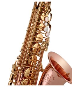Trevor James SR Alto Saxophone Outfit Bronze with Gold Lacquer Keys 15 Trevor James SR Alto Saxophone Outfit Bronze with Gold Lacquer Keys - Image 5