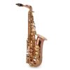 Trevor James SR Alto Saxophone Outfit Bronze with Gold Lacquer Keys 1 Image for Trevor James SR Alto Saxophone Outfit Bronze with Gold Lacquer Keys