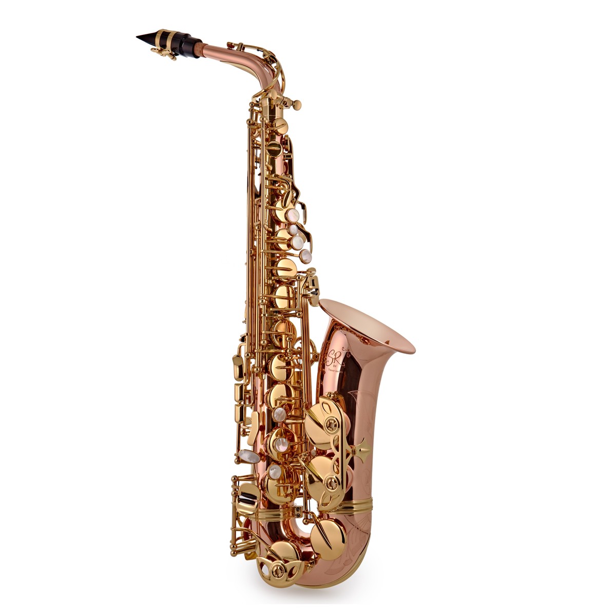 Trevor James SR Alto Saxophone Outfit Bronze with Gold Lacquer Keys 3 Trevor James SR Alto Saxophone Outfit Bronze with Gold Lacquer Keys