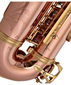 Trevor James SR Alto Saxophone Outfit Bronze with Gold Lacquer Keys 14 Trevor James SR Alto Saxophone Outfit Bronze with Gold Lacquer Keys - Image 4