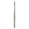 Trevor James 5X Student Flute Outfit 2 Trevor James 5X Student Flute Outfit