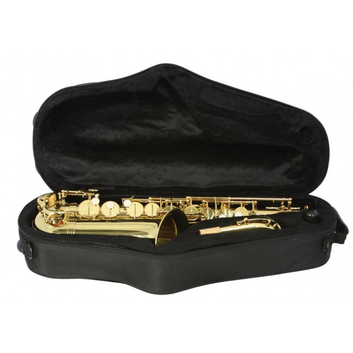 Trevor James Alphasax Alto Saxophone Outfit 4 Trevor James Alpha Sax 2