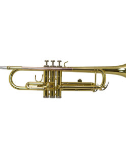 Vivace By Kurioshi Trumpet Outfit