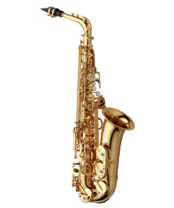 Yanagisawa awo1
