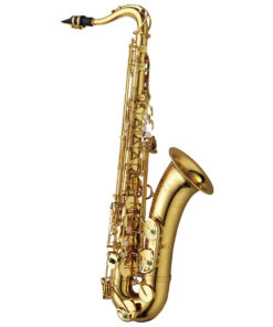 YANAGISAWA TWO1