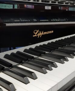 Lippmann Baby Grand Piano Highly Polished Black inc Height Adjustable Stool 10 Lippmann Baby Grand Piano Highly Polished Black inc Height Adjustable Stool - Image 3