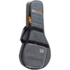 TGI Extreme Series Flat Back Mandolin Gig Bag