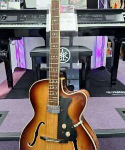 Alternative view of Hofner President Hollowbody Guitar (1957)
