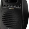 Image for TC Helicon VSM-300 Voice Solo Active Monitor