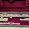 Trevor James TJ10xE Flute Outfit Curved & Straight Heads