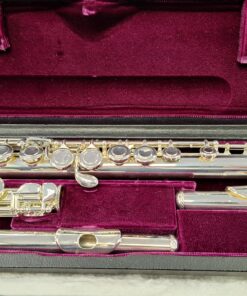 Trevor James TJ10xE Flute Outfit Curved & Straight Heads