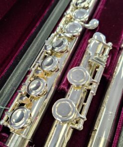 Alternative view of Trevor James TJ10xE Flute Outfit Curved & Straight Heads