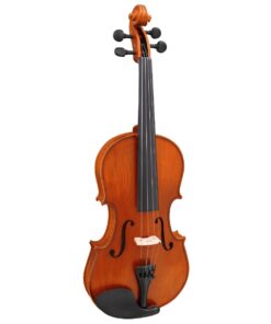 Alternative view of Hidersine Vivente 4/4 Size Violin Outfit