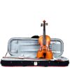 Hidersine Vivente 4/4 Size Violin Outfit