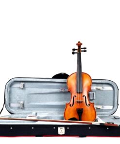 Hidersine Vivente 4/4 Size Violin Outfit