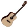 Faith Saturn 12 Hi Gloss Series 12 String Dreadnought Acoustic Guitar Natural 1 Image for Faith Saturn 12 Hi Gloss Series 12 String Dreadnought Acoustic Guitar Natural